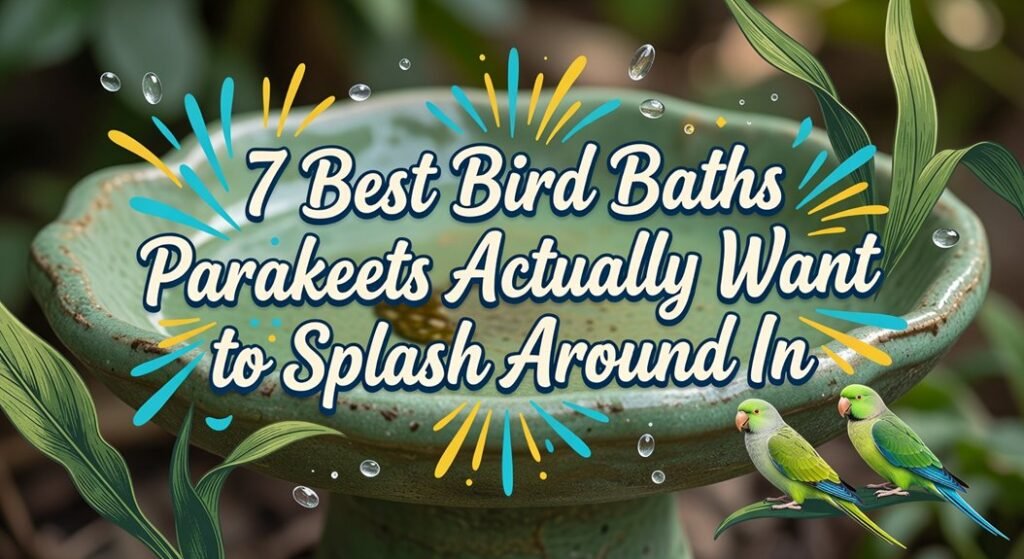 reviews for parakeet baths